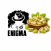 Табак Enigma Zamrud (Фисташка) 100 г 